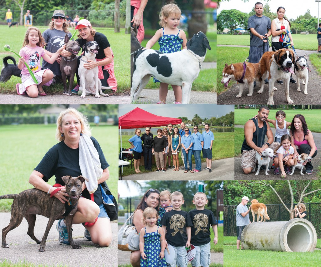 Bark in the Park group images