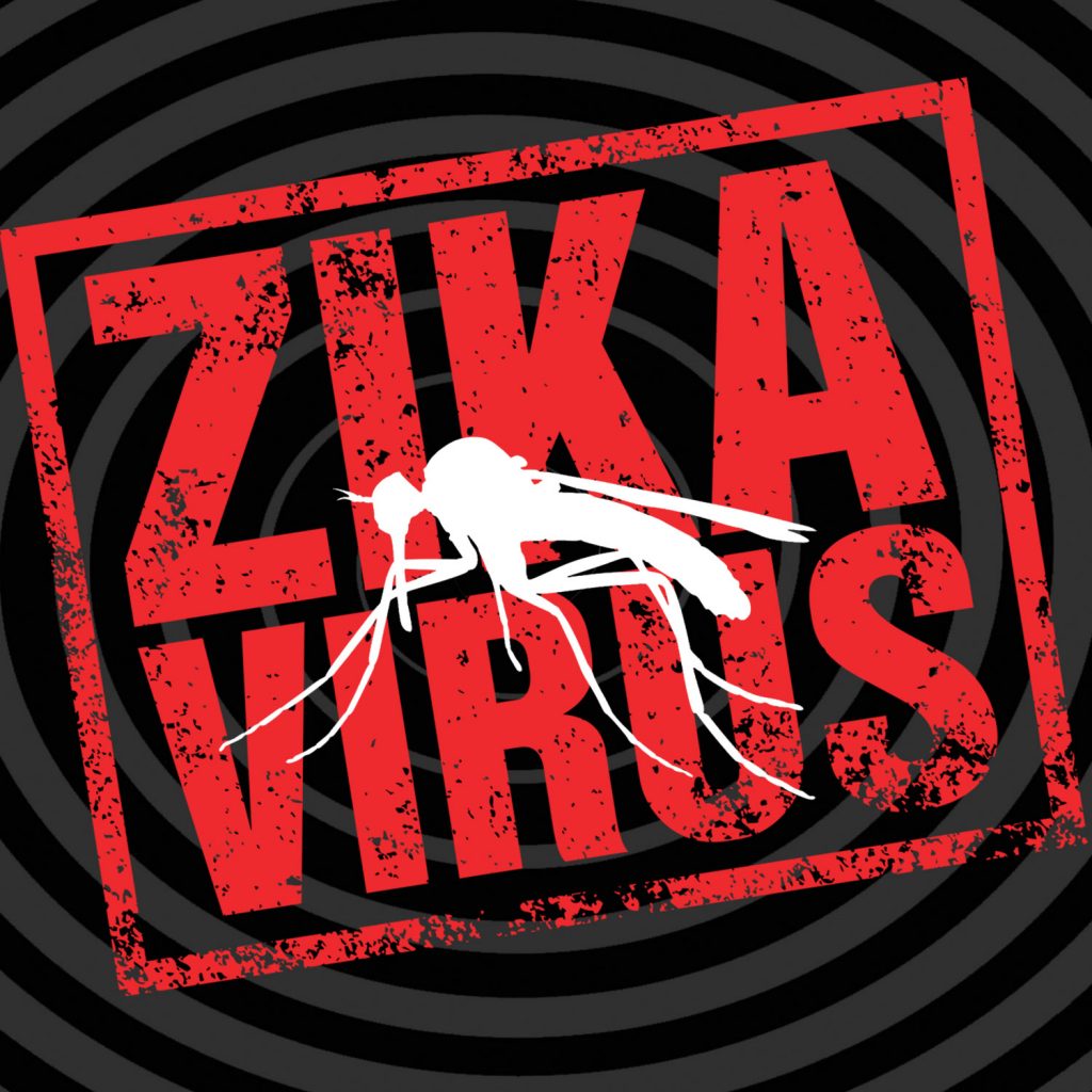 Zika Virus in South Florida