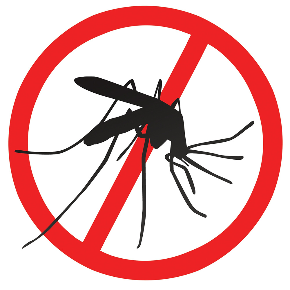 Mosquitos control Image