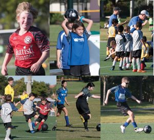 Parkland Soccer 2020