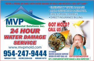 Best mold detection coral springs