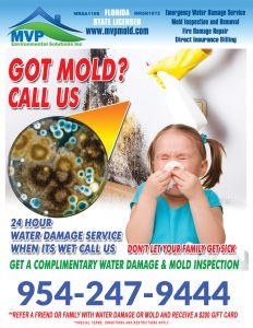 MVP Environmental Solutions