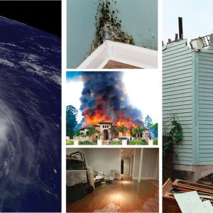 Continental Public Adjusters